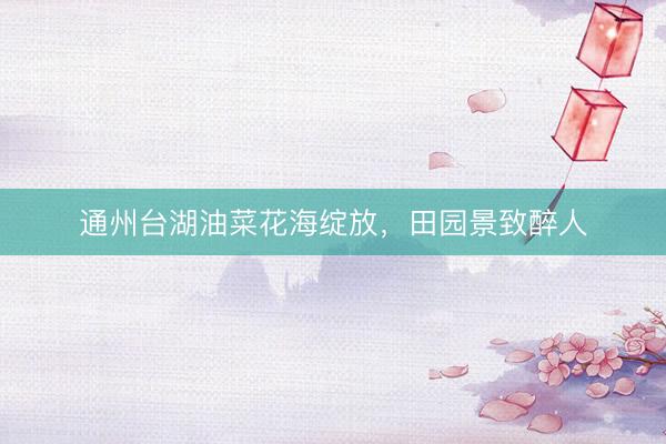 通州台湖油菜花海绽放，田园景致醉人