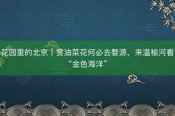 花园里的北京|赏油菜花何必去婺源,来温榆河看“金色海洋”