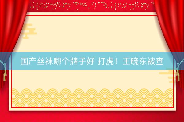国产丝袜哪个牌子好 打虎！王晓东被查