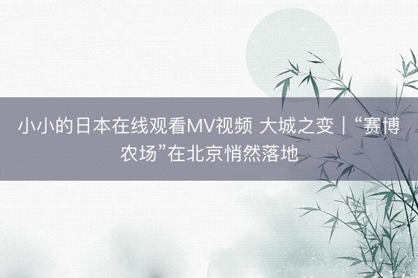 小小的日本在线观看MV视频 大城之变｜“赛博农场”在北京悄然落地