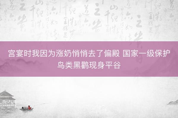 宫宴时我因为涨奶悄悄去了偏殿 国家一级保护鸟类黑鹳现身平谷