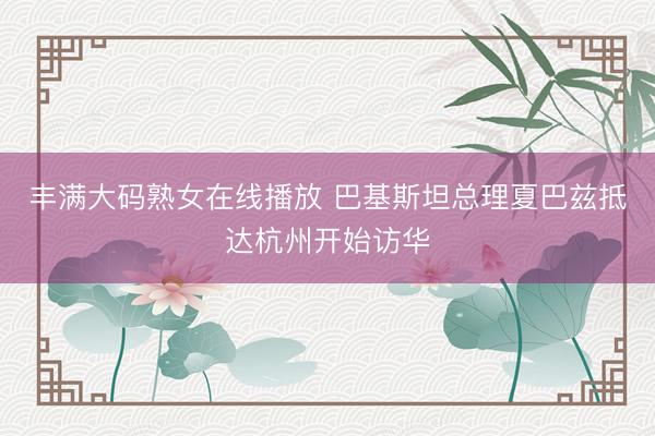丰满大码熟女在线播放 巴基斯坦总理夏巴兹抵达杭州开始访华