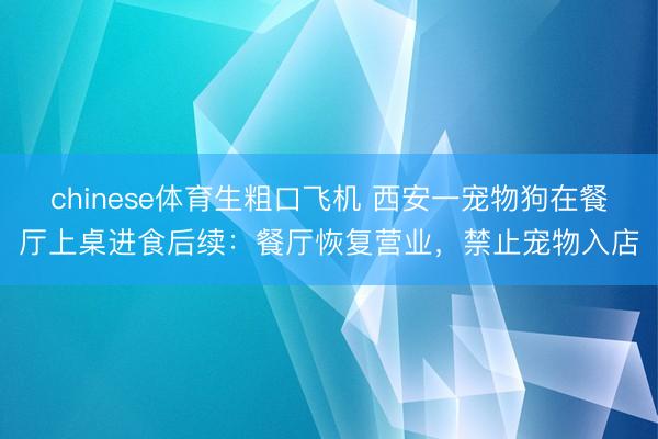 chinese体育生粗口飞机 西安一宠物狗在餐厅上桌进食后续：餐厅恢复营业，禁止宠物入店
