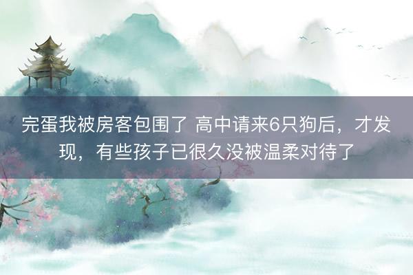 完蛋我被房客包围了 高中请来6只狗后,才发现,有些孩子已很久没被温柔对待了