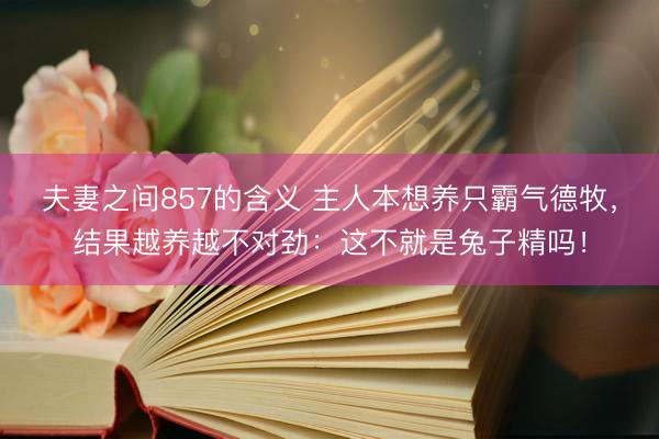 夫妻之间857的含义 主人本想养只霸气德牧,结果越养越不对劲:这不就是兔子精吗!