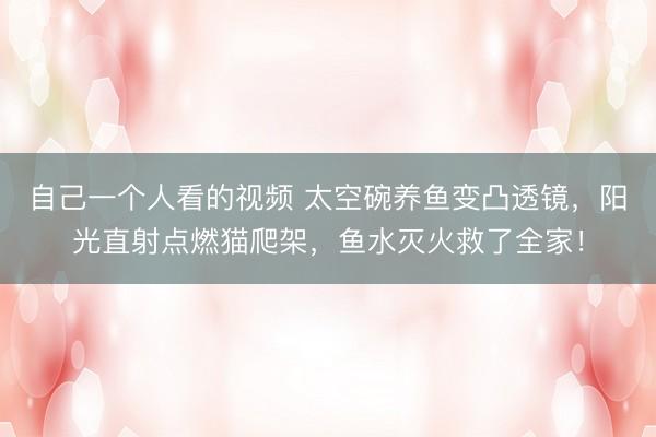 自己一个人看的视频 太空碗养鱼变凸透镜,阳光直射点燃猫爬架,鱼水灭火救了全家!
