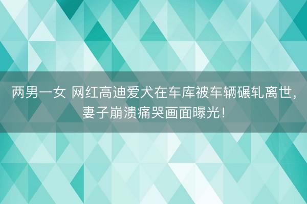 两男一女 网红高迪爱犬在车库被车辆碾轧离世，妻子崩溃痛哭画面曝光！