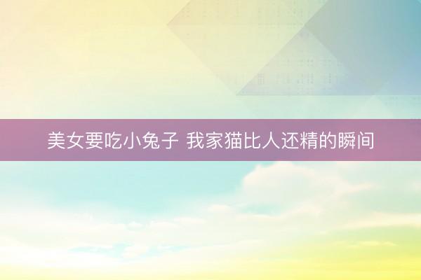 美女要吃小兔子 我家猫比人还精的瞬间