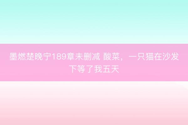墨燃楚晚宁189章未删减 酸菜，一只猫在沙发下等了我五天