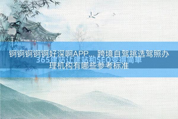 锕锕锕锕锕好深啊APP... 跨境自驾挑选驾照办理机构有哪些参考标准
