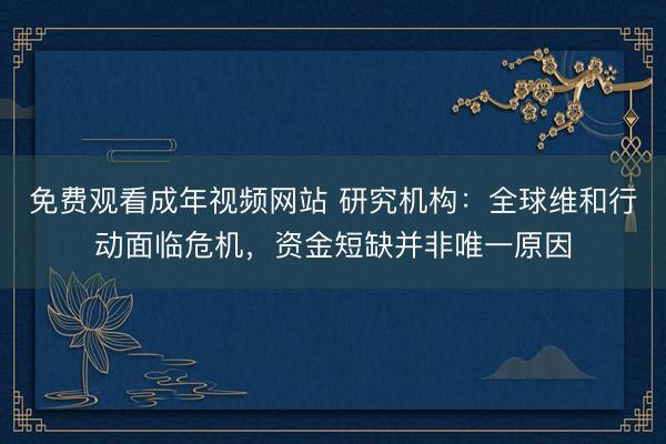 免费观看成年视频网站 研究机构：全球维和行动面临危机，资金短缺并非唯一原因