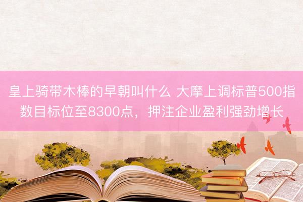 皇上骑带木棒的早朝叫什么 大摩上调标普500指数目标位至8300点，押注企业盈利强劲增长