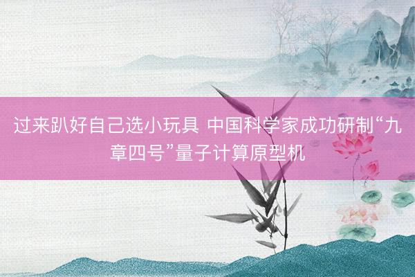 过来趴好自己选小玩具 中国科学家成功研制“九章四号”量子计算原型机