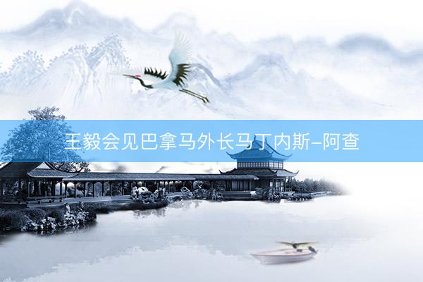 王毅会见巴拿马外长马丁内斯-阿查