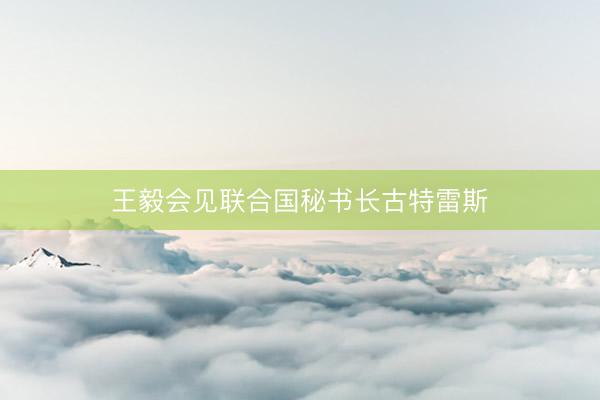 王毅会见联合国秘书长古特雷斯