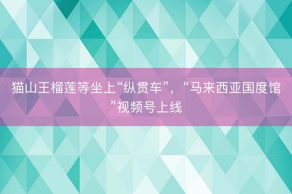 猫山王榴莲等坐上“纵贯车”，“马来西亚国度馆”视频号上线