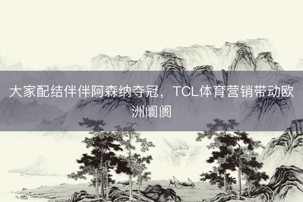 大家配结伴伴阿森纳夺冠,TCL体育营销带动欧洲阛阓