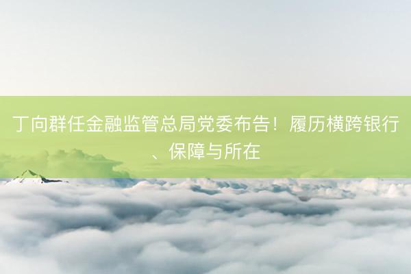 丁向群任金融监管总局党委布告！履历横跨银行、保障与所在
