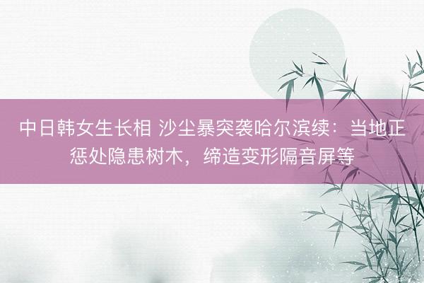 中日韩女生长相 沙尘暴突袭哈尔滨续：当地正惩处隐患树木，缔造变形隔音屏等