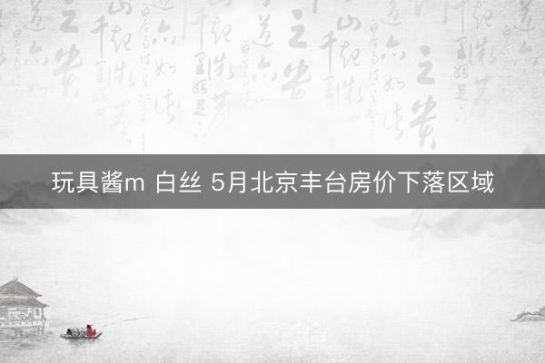 玩具酱m 白丝 5月北京丰台房价下落区域