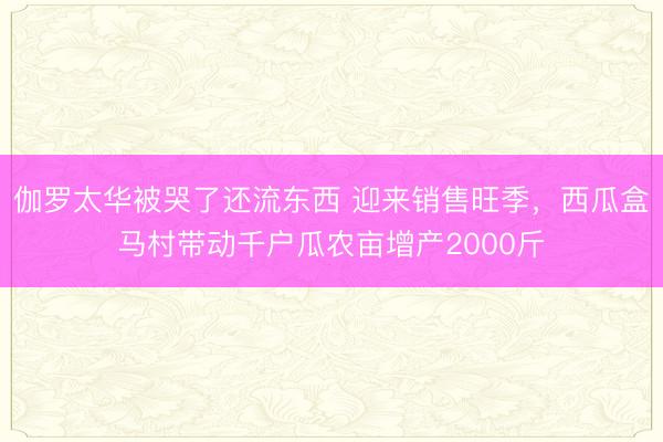 伽罗太华被哭了还流东西 迎来销售旺季,西瓜盒马村带动千户瓜农亩增产2000斤