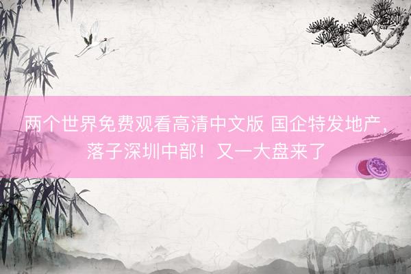 两个世界免费观看高清中文版 国企特发地产,落子深圳中部!又一大盘来了