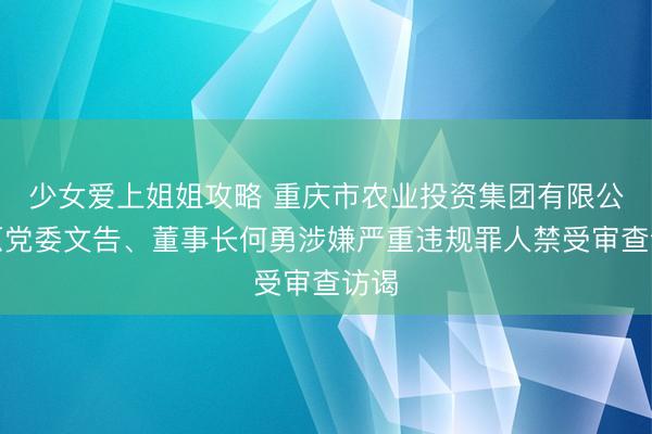少女爱上姐姐攻略 重庆市农业投资集团有限公司原党委文告、董事长何勇涉嫌严重违规罪人禁受审查访谒