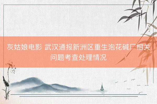 灰姑娘电影 武汉通报新洲区重生泡花碱厂相关问题考查处理情况