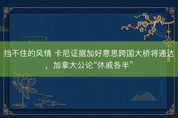 挡不住的风情 卡尼证据加好意思跨国大桥将通达,加拿大公论“休戚各半”