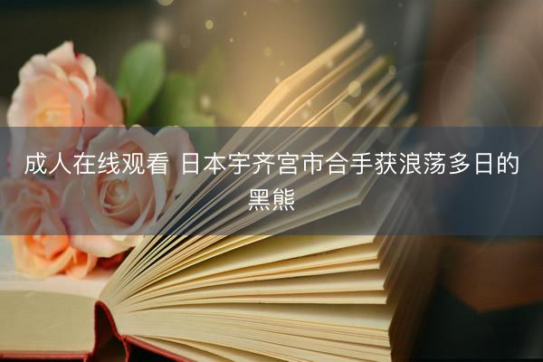 成人在线观看 日本宇齐宫市合手获浪荡多日的黑熊