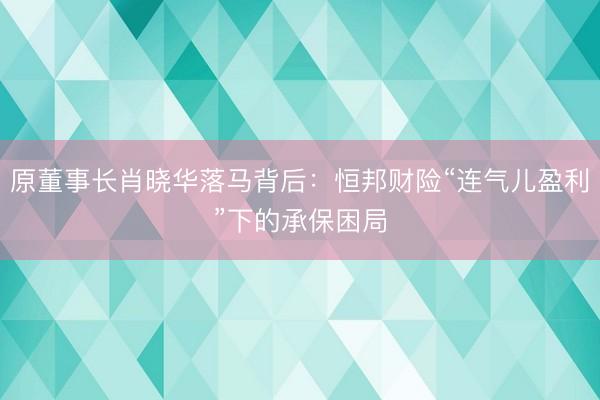 原董事长肖晓华落马背后:恒邦财险“连气儿盈利”下的承保困局